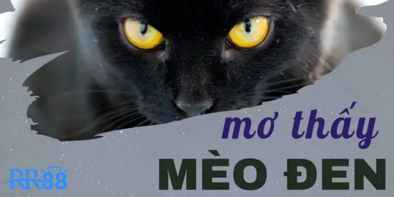 Mèo đen vào nhà dự đoán cơ hội mới