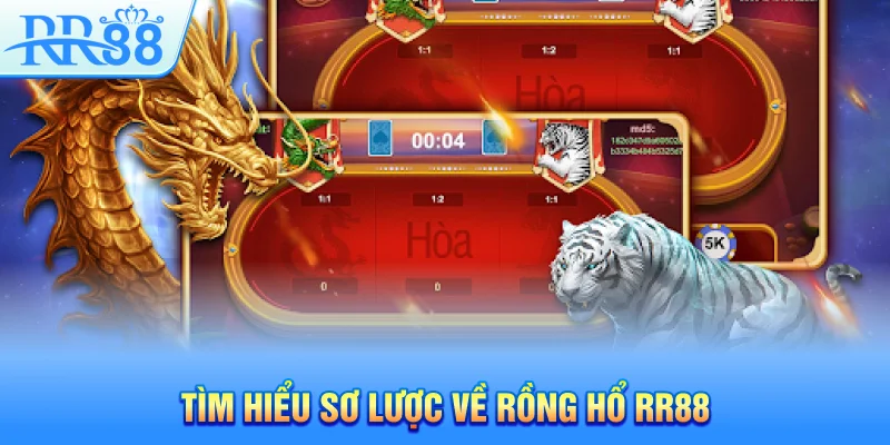 Rồng Hổ RR88 – Phương Pháp Chơi Chuẩn Xác Từ A- Z Cho Mọi Thành Viên 2 Tìm hiểu sơ lược về Rồng Hổ RR88